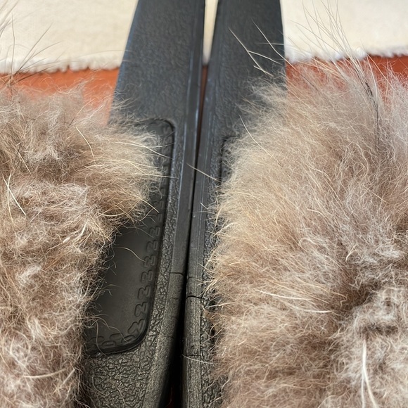 Fox Slides - Picture 6 of 10